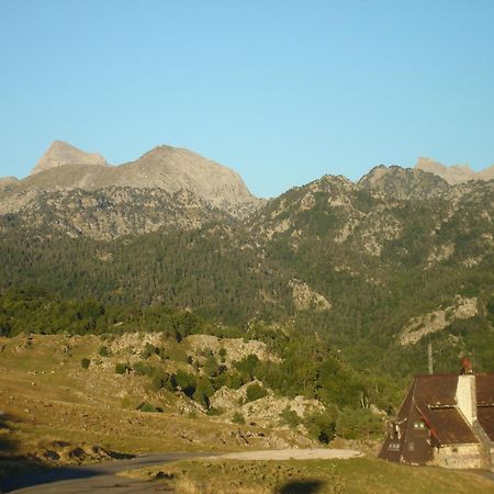 Hotel Y Apartamentos Snoe Ісаба Екстер'єр фото
