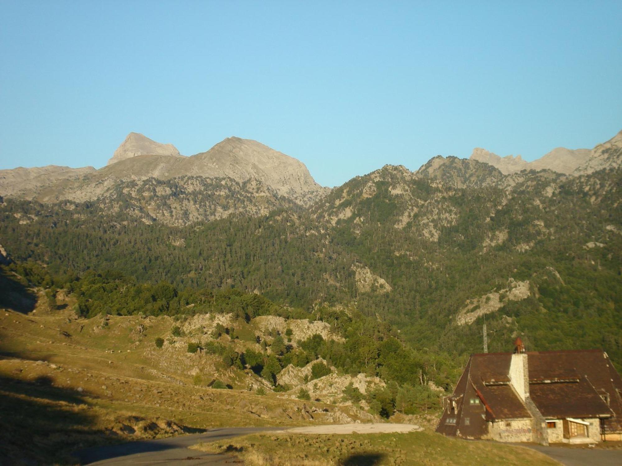 Hotel Y Apartamentos Snoe Ісаба Екстер'єр фото